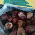 صقعي سدير