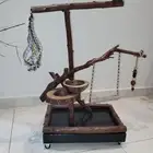 استاندات طيور
