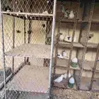 محاكر حمام حديد بحالة طيبة