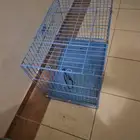 قفص حيوانات حجم كبير