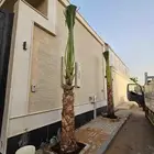 نخل واشنطني نخل واشنطن