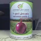 بذور بصل بافطيم
