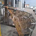 باكت عرجا