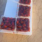 يوجد لدينا تمر خلاص حساء حبه جانبو