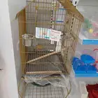 قفص بغبغاء
