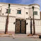 نخل واشنطني اقل سعر