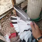 زوج. خرش مطير عامودي الانثى قلاب عشه