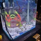 حوض سمك بديكوراته