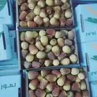يوجد عمال خراف. خبره