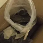 كلمتان ab محسن