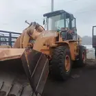 سوق شيول متعطل