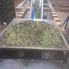 متوفر لدينا زيت زيتون انتاج مزارع تبوك زيت عضوي بدون اسمدة