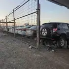 رافور مديل 2011