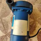 دينمو سمنان نص حصان