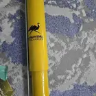مساعدات خلفية رانجلر