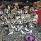 حمام فرنسي سوبر