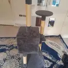 بيت قطط جديد