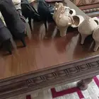 حذاء أطفال بعجل مثل الباتيناج وأحذيه نضيفه بكعب كلهم ب40