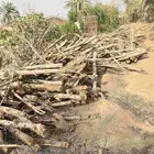 حطب سوبريم ناشف كميه كبيره