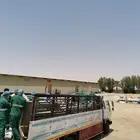 دينا. دينه. دينة. لوري للتحميل من القصيم