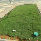 تنسيق حدائق