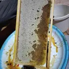 عسل سمره تهامه على مستوى