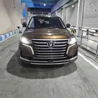 شانجان 2020 مستخدم واحد