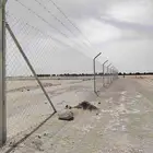 تركيب شبوك مزارع