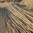 اعواد جريد نخل