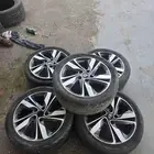 جنوط النتراء 2015 يركب من 2012 الى 2020