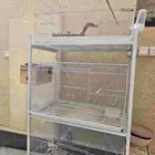 محكر ارفف مع شبوك للطيور