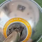 دفايه بريموس سيفرت