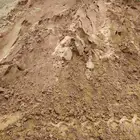 رمل أحمر الفريش