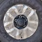 جنوط شاص رفرف أصلي 2024