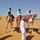 اجار جمال رحول وخيل عربية اصيلة