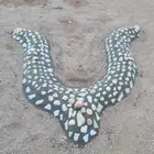 تزيين أحواض ورش وتقليم اشجار