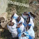 كامري حجم 15كيلو