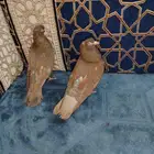 زوج حمام كوره