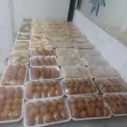 يوجد لدينا اكلات سوريا شقل بيت