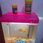 سمك مع الحوض
