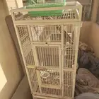 اقفاص طيور زينه