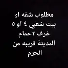 مطلوب بيت او شقه إيجار