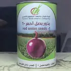 بذور بصل بافطيم رقم 1