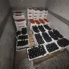 بيتجان طيب وزن الفلينه 6 كيلو