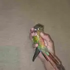 كنيور يلو سايد اليف وهدد