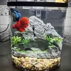 عرض الفايتر بكامل ملحقاته