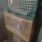 شبوك للبيع.