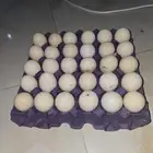 بيض دجاج رومي