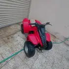 دباب تايوان ياباني