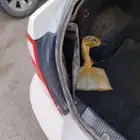 الرياض - النسيم الشرقي.